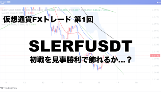 【仮想通貨FX】SLERFUSDTでトレードしてみた！【第1回】